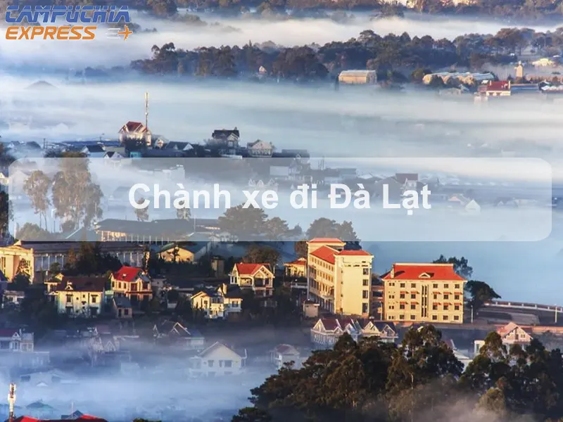 Chành Xe Đà Lạt – Gửi Hàng Đi Đà Lạt Nhanh Chóng và Uy Tín