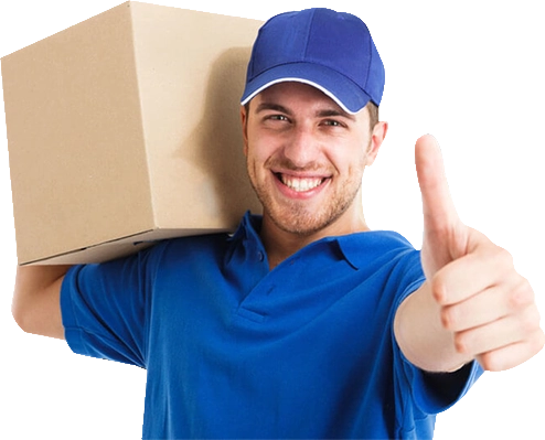 yều cầu báo giá