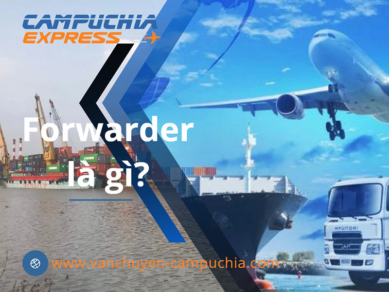 Forwarder Là Gì? Vai Trò Forwarding trong XNK