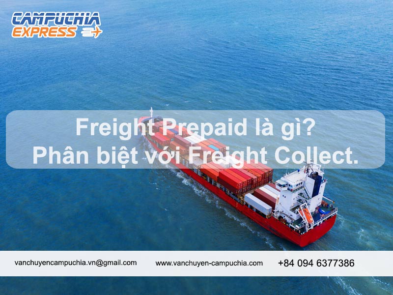 Phân biệt Freight Prepaid là gì và Freight Collect