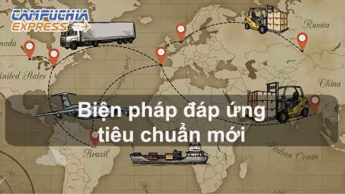 LSS Là Phí Gì? Phụ Phí LSS Bên Nào Chịu? 4 các biện pháp đáp ứng tiêu chuẩn mới