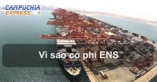 vì sao có phí ens