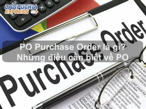 Po Là Gì? Khám Phá Nền Tảng Quan Trọng trong Xuất Nhập Khẩu