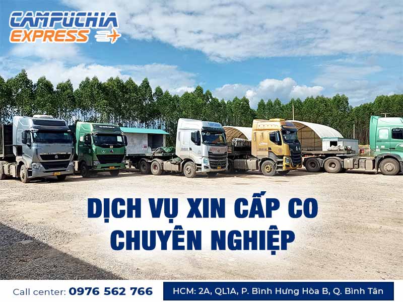 vai trò của việc xin cấp co