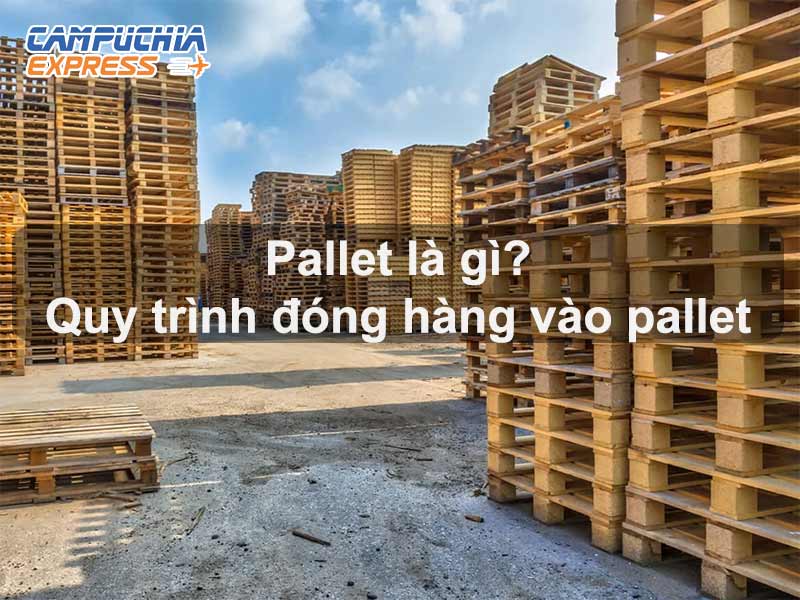 pallet là gì