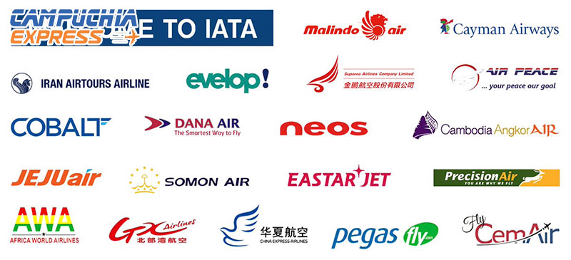 IATA là gì? Vai trò trong ngành của IATA 5 ý nghĩa trong việc trờ thành thành viên iata